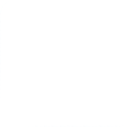 Flash Sale Border